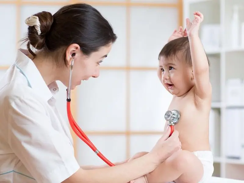 DSA terbaik di Surabaya